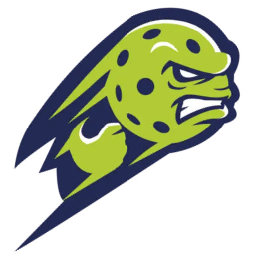 Picklerage favicon